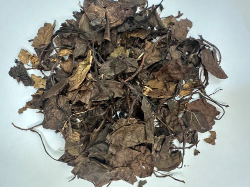 Lu Xian Cao 鹿銜草 - Pyrolae Herba