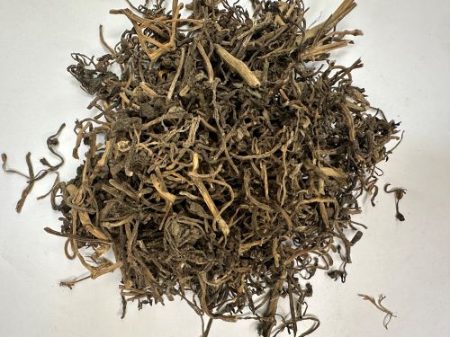 Ma Chi Xian 馬齒莧 - Portulacae Herba