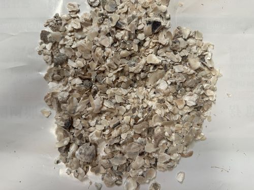 Mu Li 牡蠣 - Ostreae Concha