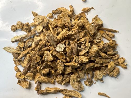 Nan Sha Shen 南沙參 - Adenophorae Radix