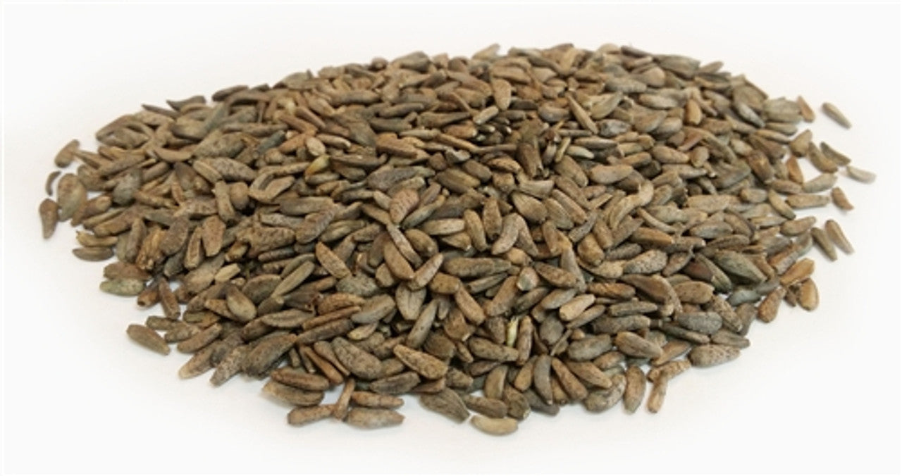 Niu Bang Zi 牛蒡子 - Arctii Fructus