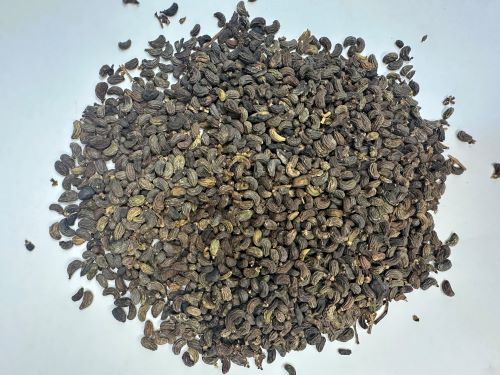 Nu Zhen Zi 女貞子 - Ligustri Lucidi Fructus