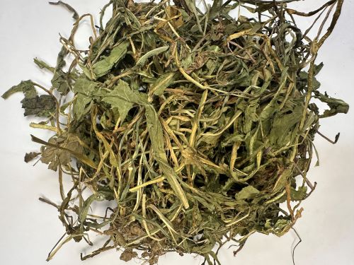 Pu Gong Ying 蒲公英 - Taraxaci Herba