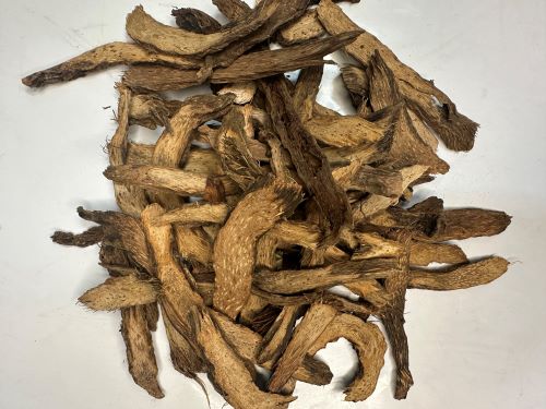 Qian Nian Jian 千年健 - Homalomenae Rhizoma