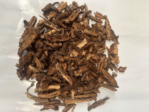 Qiang Huo 羌活 - Notopterygii Rhizoma Et Radix