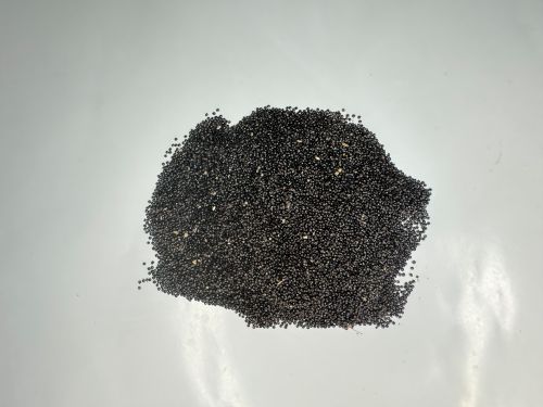 Qing Xiang Zi 青箱子 - Celosiae Semen