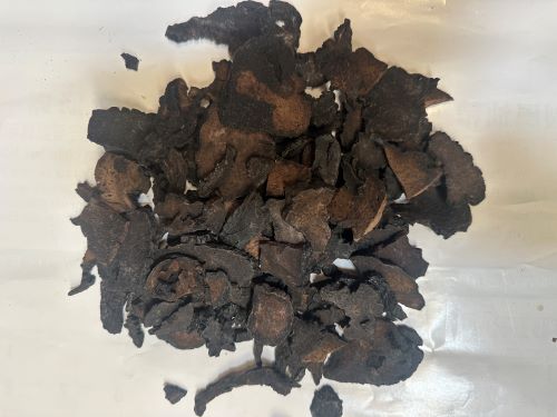 Rou Cong Rong 肉蓯蓉 - Cistanches Herba