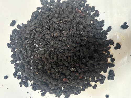 Sang Shen 桑葚 - Mori Fructus