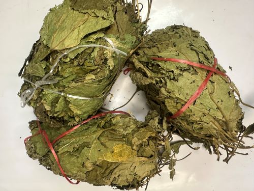 Sang Ye 桑葉 - Mori Folium