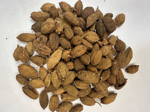 Sha Ren 砂仁 - Amomi Fructus