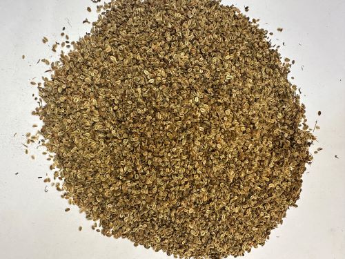 She Chuang Zi 蛇床子 - Cnidii Fructus