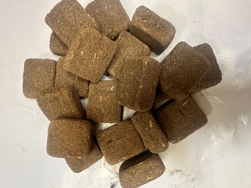 Chao Shen Qu 炒神曲 - Massa Medicata Fermentata Praeparata