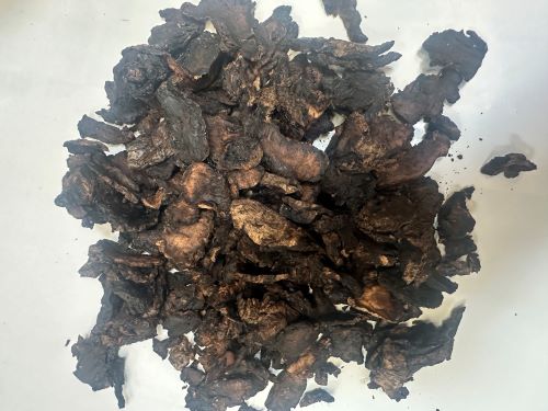 Di Huang (Sheng) 生地黃 - Rehmanniae Radix