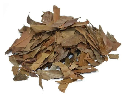 Shi Nan Ye 石楠葉 - Photiniae Folium