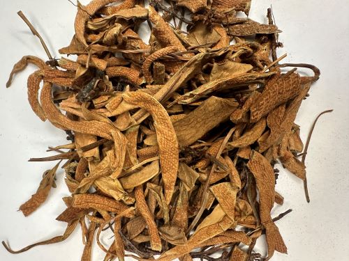 Shi Wei 石韋 - Pyrrosiae Folium