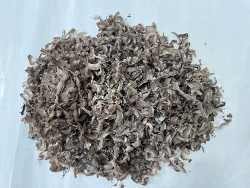 Shui Niu Jiao 水牛角 - Bubali Cornu