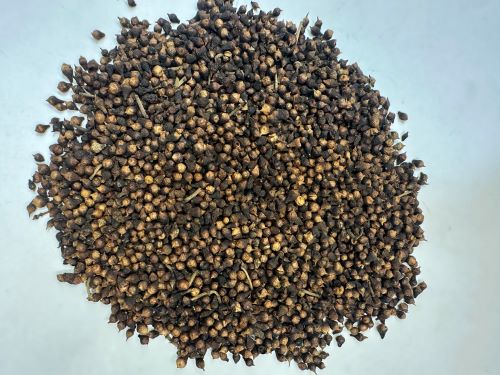 Shui Weng Hua 水翁花 - Cleistocalyx Operculatus Flos