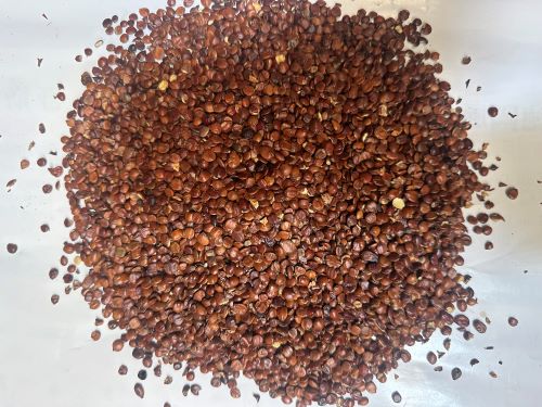 Suan Zao Ren (Raw) 酸棗仁(生) - Ziziphi Spinosae Semen