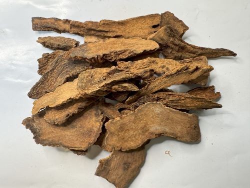 Suo Yang 鎖陽 - Cynomorii Herba