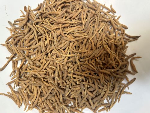 Tai Zi Shen 太子參 - Pseudostellariae Radix