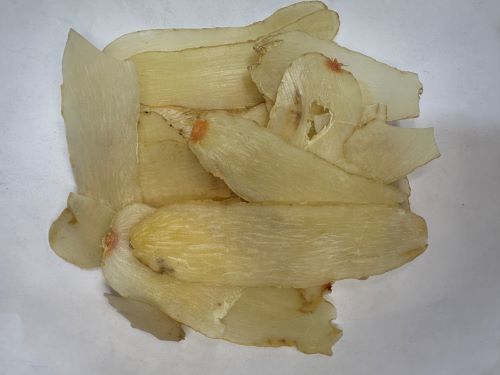 Tian Ma 天麻 - Gastrodiae Rhizoma