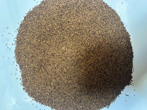 Tu Si Zi 菟絲子 - Cuscutae Semen