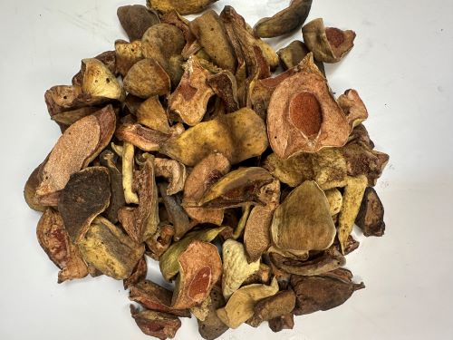 Wang Bu Liu Xing Ke 王不留行殼 - Vaccariae Exocarpium