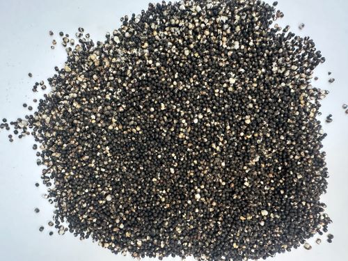 Chao Wang Bu Liu Xing 炒王不留行 - Vaccaria Segtalis Praeparata