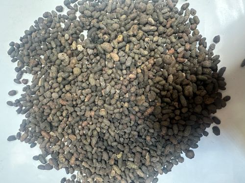 Wu Ling Zhi 五靈脂 - Trogopterus Xanthipes Faeces