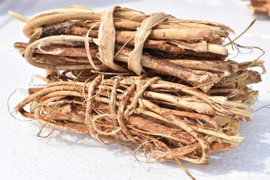 Wu Zhua Long 五爪龍 - Ficus Simplicissima Radix