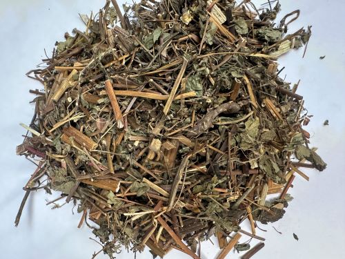 Xi Xian Cao 稀薟草 - Siegesbeckia Orientalis L