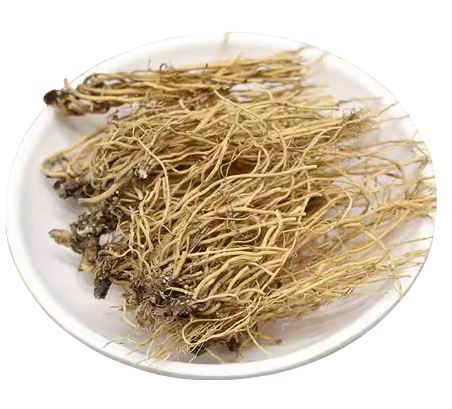 Xi Xin 細辛 - Asari Radix et Rhizoma