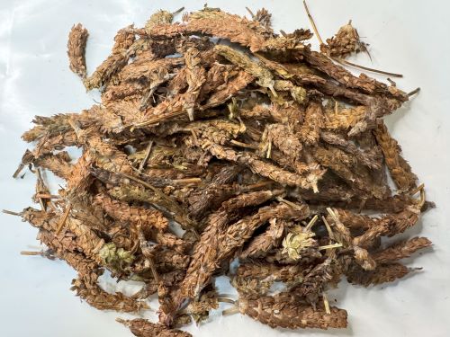 Xia Ku Cao 夏枯草 - Prunellae Spica