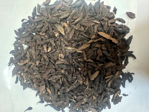 Xiang Fu 香附 - Cyperi Rhizoma