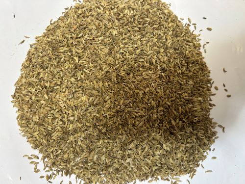 Xiao Hui Xiang 小茴香 - Foeniculi Fructus