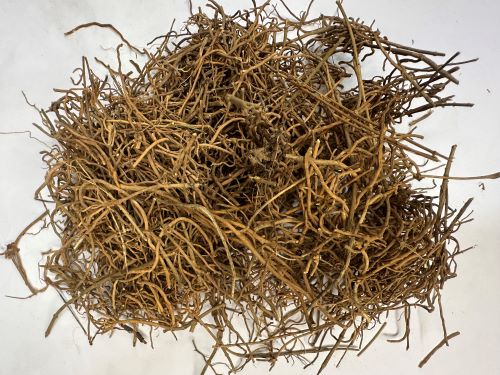 Xu Chang Qing 徐長卿 - Cynanchi Paniculati Radix Et Rhizoma