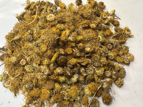 Xuan Fu Hua 旋覆花 - Inulae Flos