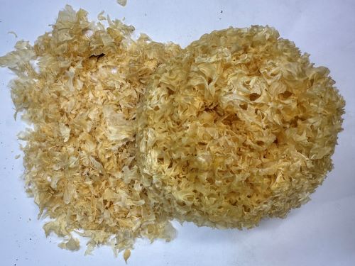 Xue Er (Yin Er) 雪耳 (銀耳) - Tremella Fuciformis