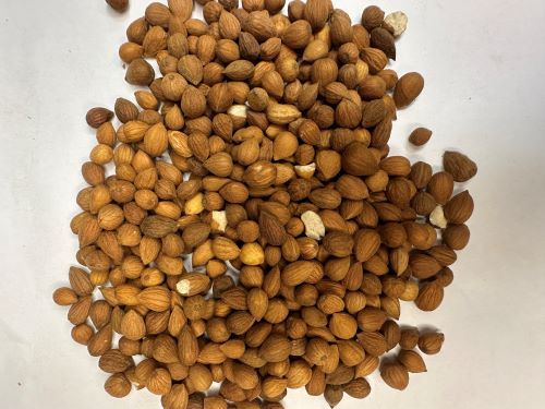 Yu Li Ren 郁李仁 - Pruni Semen