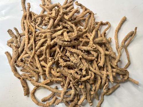 Yuan Zhi 遠志 - Polygalae Radix