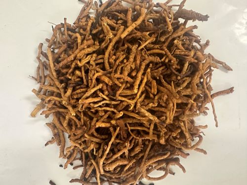 Zhi Yuan Zhi 炙遠志 - Polygalae Radix Praeparata Cum Melle