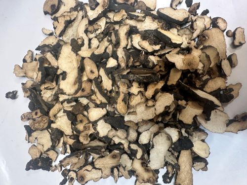 Zhu Ling 豬苓 - Polyporus