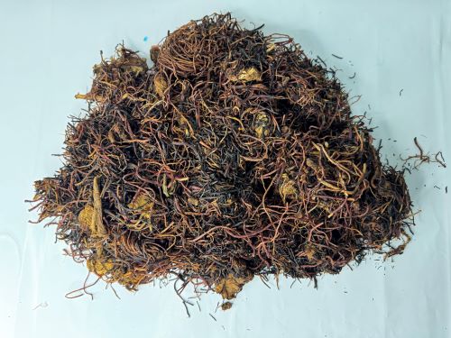 Zhi Zi Yuan (Zhi Zhi Wan) 炙紫菀 - Asteris Radix Et Rhizoma Praeparata Cum Melle